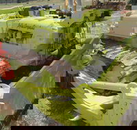 Dardanup Heritage Park - Accommodation Cooktown