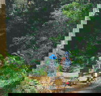 Gloucester National Park - Accommodation Cooktown