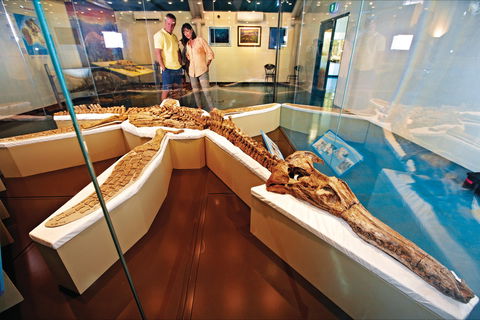 Kronosaurus Korner - Accommodation Cooktown 1