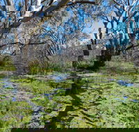 Macquarie Valley Trails - Accommodation Cooktown