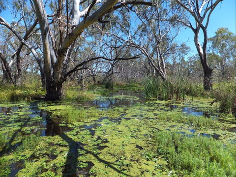 Macquarie Valley Trails - Accommodation Cooktown 0
