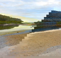 Mangrove Walk - Accommodation Cooktown