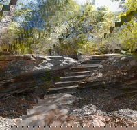 Mooney Mooney nature walk - Accommodation Cooktown