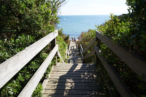 Mount Eliza - Accommodation Cooktown 1