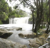 Nellies Glen Carrington Falls - Accommodation Cooktown