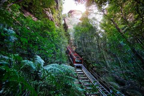 Scenic World Blue Mountains - Accommodation Cooktown 0
