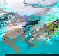 Snorkel Hat Head Creek