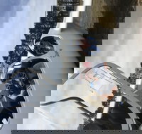 Southern Tablelands Gliding Club - Accommodation Cooktown