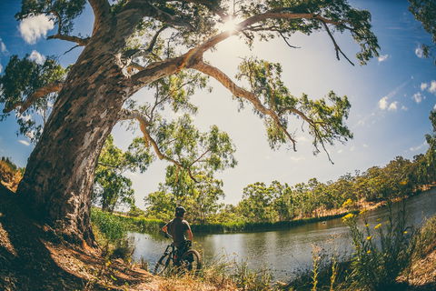 Sturt Gorge Recreation Park - Accommodation Cooktown 0