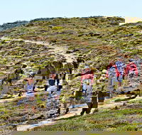 The Sole Walk at Hillocks Drive - Accommodation Cooktown