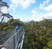 Walpole-Nornalup National Park - Accommodation Cooktown