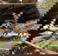 Walcha Open Air Gallery