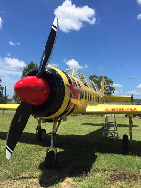 Aerohunter - Accommodation Cooktown 0