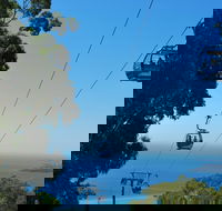 Arthurs Seat Eagle - Accommodation Cooktown