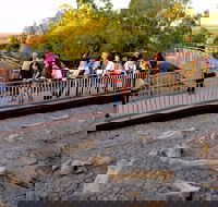 Australian Age of Dinosaurs - Accommodation Cooktown