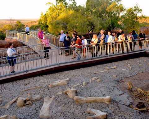 Australian Age Of Dinosaurs - Accommodation Cooktown 0