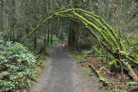 Bridle Trail - Accommodation Cooktown 0