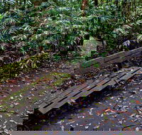 Coombadjha Nature Stroll - Accommodation Cooktown