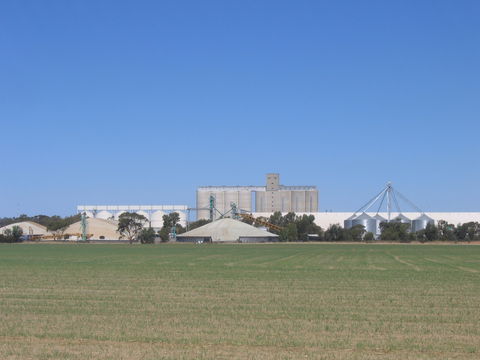 Co-operative Bulk Handling (CBH) Wheat Storage And Transfer Depot - Accommodation Cooktown 1