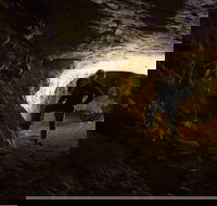 Dennings Labyrinth - Accommodation Cooktown