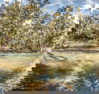 Flea Creek Picnic Area - Accommodation Cooktown