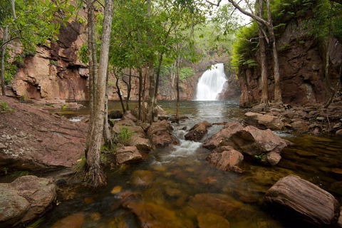 Florence Falls - Accommodation Cooktown 0