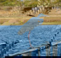 Groper Creek - Accommodation Cooktown