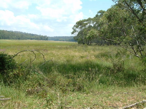 Hume And Hovell Walking Track - Accommodation Cooktown 2