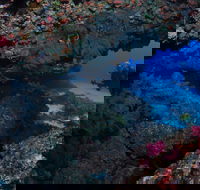 Hutchinson Shoal Dive Site - Accommodation Cooktown