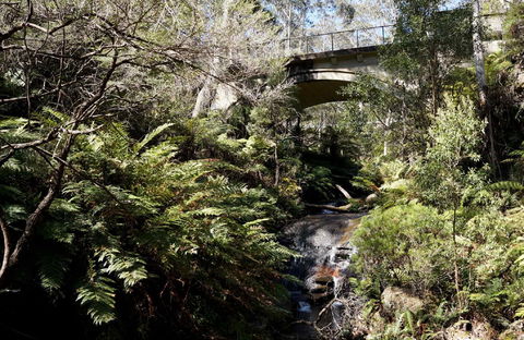 Leura Cascades - Accommodation Cooktown 2
