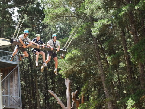 Mount Lofty Adventure Hub - Accommodation Cooktown 1