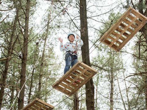 Mount Lofty Adventure Hub - Accommodation Cooktown 2