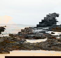 Mystery Bay Short Walk - Accommodation Cooktown