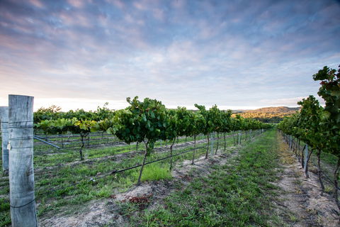 Nature And Foodies Trail - Accommodation Cooktown 0