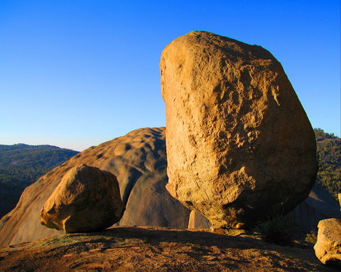 Nature And Foodies Trail - Accommodation Cooktown 1