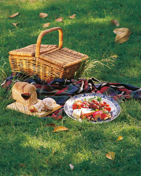 Nature And Foodies Trail - Accommodation Cooktown 2