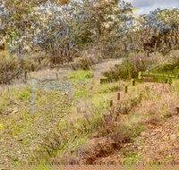 Old Mountain Road Walking Track - Accommodation Cooktown