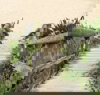 Pebbly Beach to Snake Bay walking track - Accommodation Cooktown