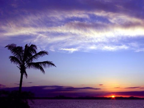 Quoin Island Retreat And Turtle Rehabilitation Centre - Accommodation Cooktown 0