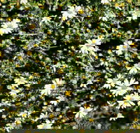 Round Tank Picnic Area - Accommodation Cooktown