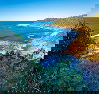 Shellgrit Beach Red Head - Accommodation Cooktown