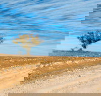 Sturts Steps Touring Route - Accommodation Cooktown