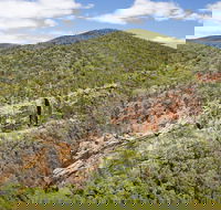 Sundown National Park - Accommodation Cooktown