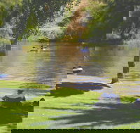 The Lions Junction Park - Tumut - Accommodation Cooktown