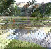 Tumut Wetlands - Accommodation Cooktown