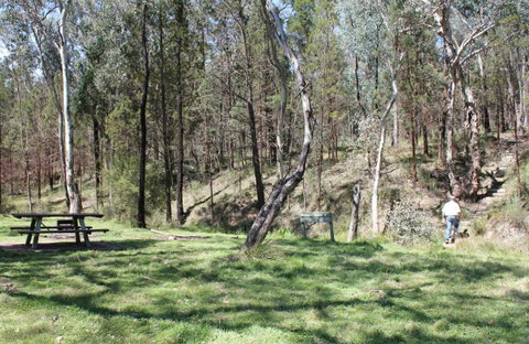Wallaby Walking Track - Accommodation Cooktown 0