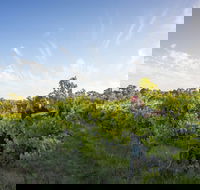 Mclaren Vale - Accommodation Cooktown