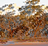 Yawura Yarun - Accommodation Cooktown