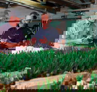 A Taste Of Norfolk - Accommodation Cooktown