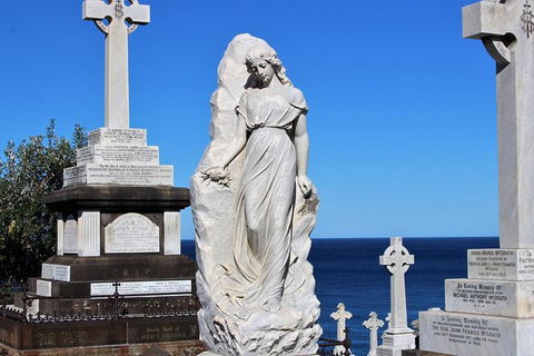 Bondi Beach And Beyond - Accommodation Cooktown 6